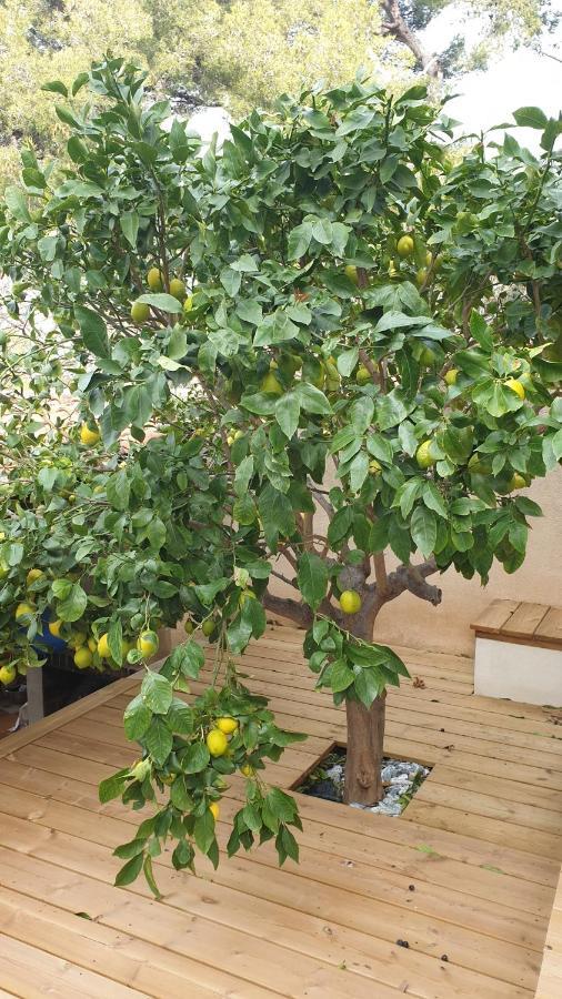 Les Terrasses Des Anthenors Bed and Breakfast Ensues-la-Redonne Exteriör bild